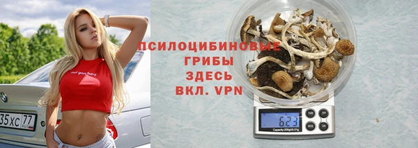 спиды Дмитриев