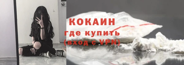 спиды Дмитриев