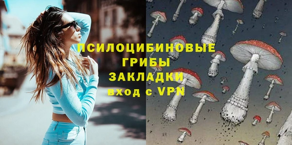 спиды Дмитриев