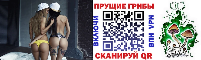 Купить закладки  Данков  Галлюциногенные грибы мицелий 