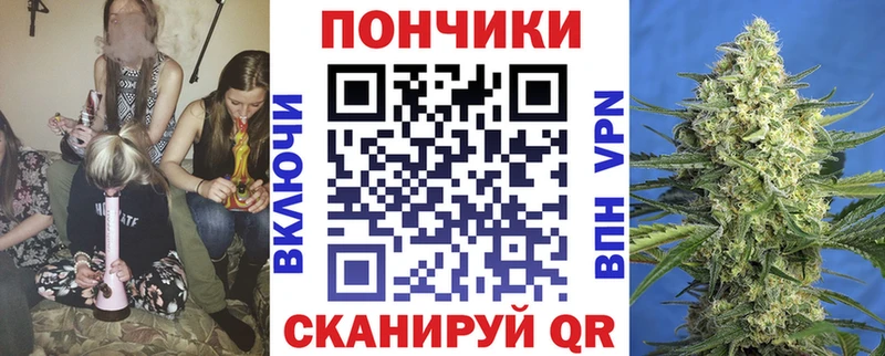 Купить где  Данков  Канабис семена 